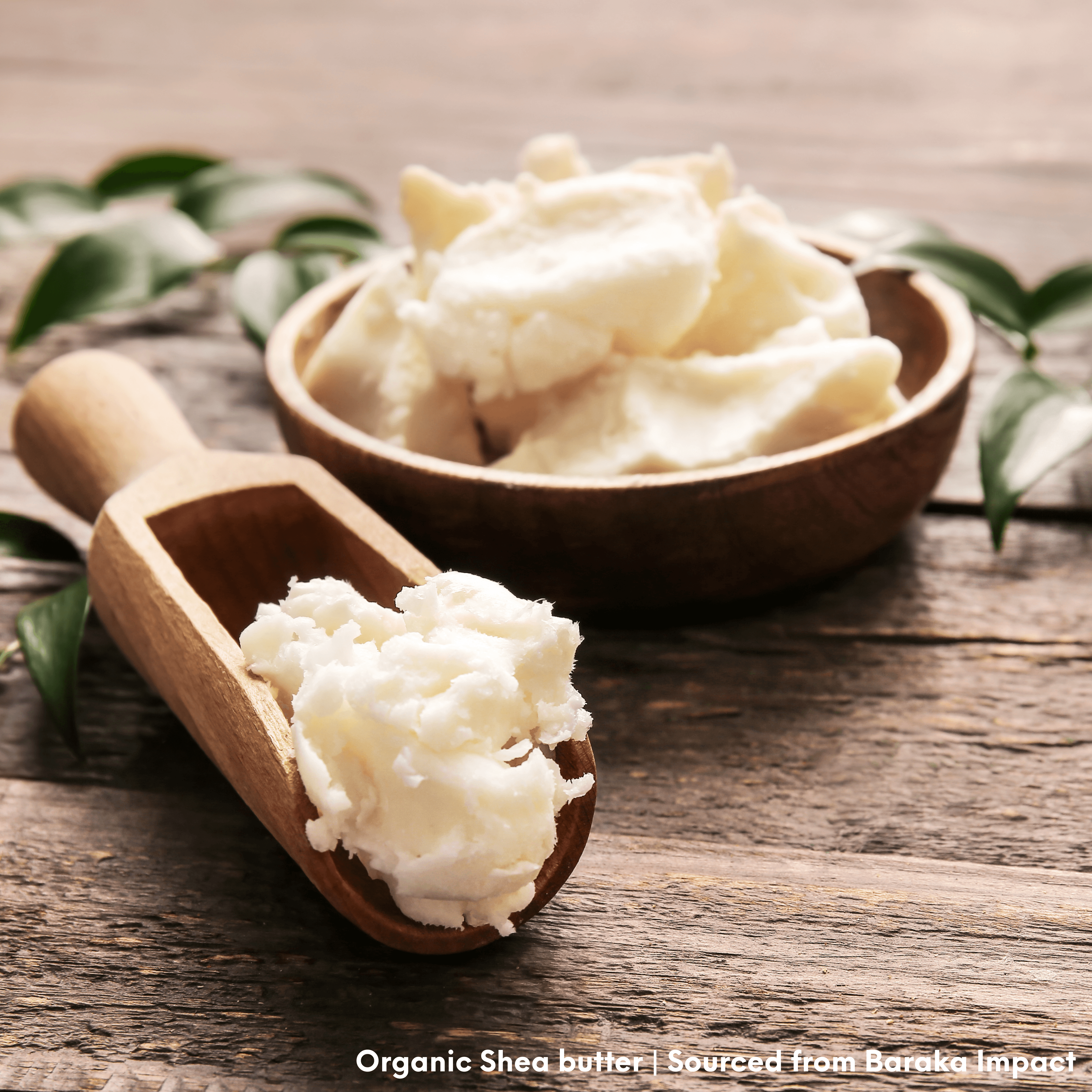 Why We Use Organic Shea from Ghana — And Why It Matters